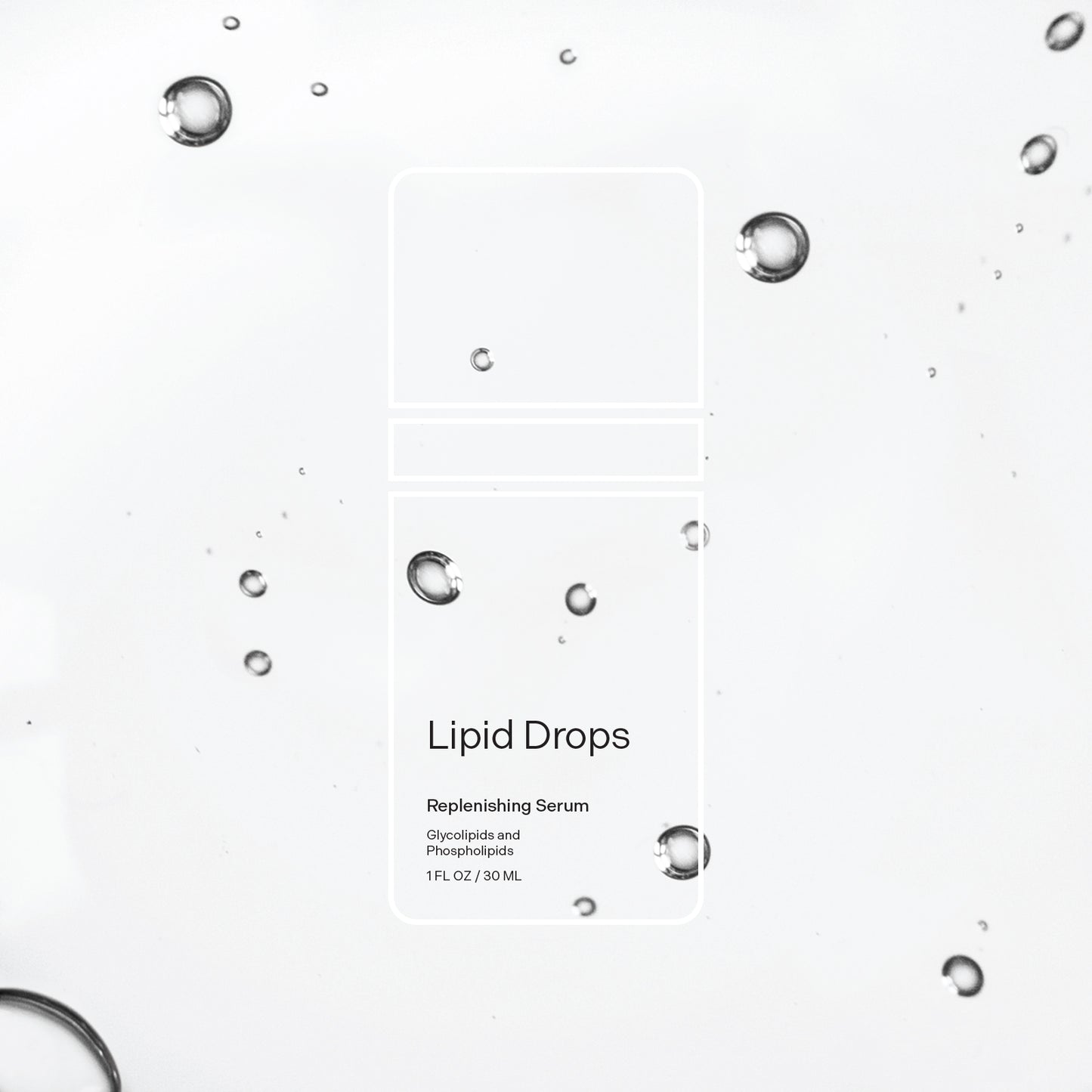 Lipid Drops